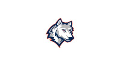 Western Connecticut State Softball