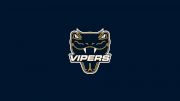 Vernon Vipers