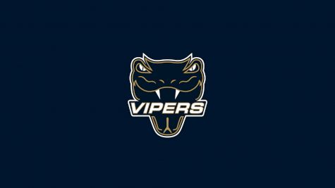 Vernon Vipers