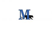 D3 Marian (WI) Men's Hockey