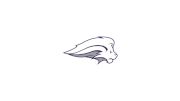 Nelson University Football