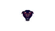 Lakeland Panthers U13 AA (G)