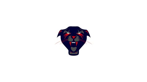 Lakeland Panthers U13 AA (G)