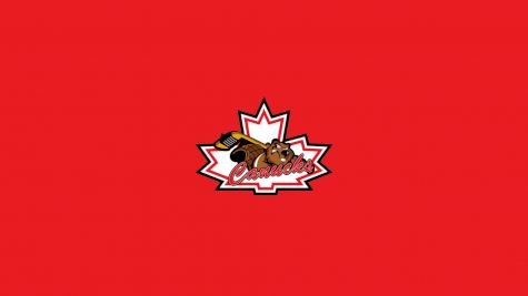 Niagara Falls Canucks