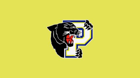 Embrun Panthers