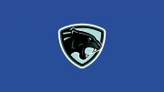 Peninsula Panthers