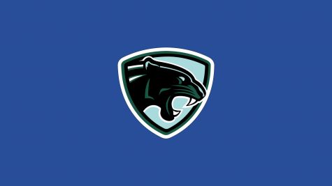 Peninsula Panthers