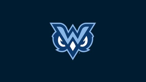 Mississippi University for Women Men's Basketball
