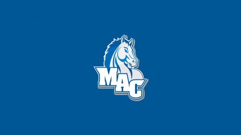 Mount Aloysius Baseball