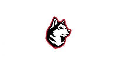 Northeastern Men's Basketball