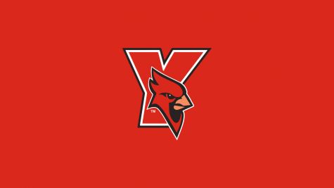 York (NY) Men's Basketball