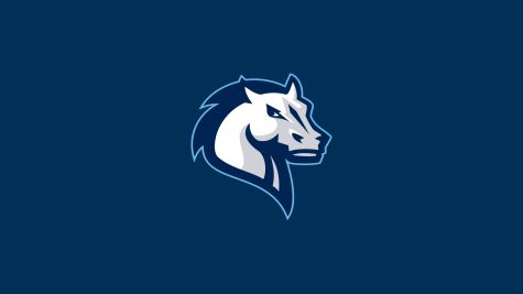 Mercy Men's Basketball