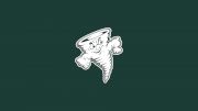 Lake Erie College Men's Lacrosse