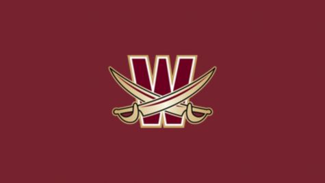 Walsh STUNT