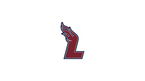Lee Men's Basketball