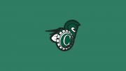 VTSU-Castleton Softball