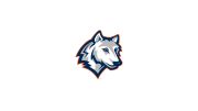 Western Connecticut State Men's Ice Hockey