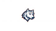 Western Connecticut State Women's Basketball