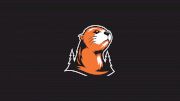 Lewis & Clark Swimming & Diving