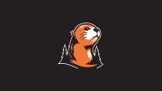 Lewis & Clark Women's Basketball