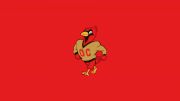 Otterbein Women's Lacrosse