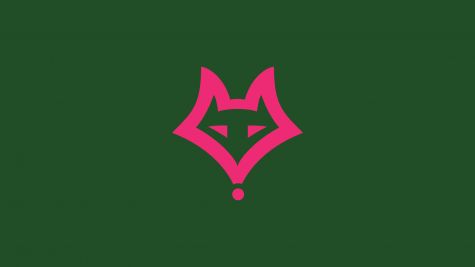 Sweet Briar Softball