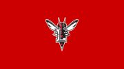 Lynchburg Softball