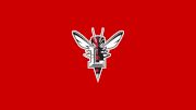 Lynchburg Women's Lacrosse