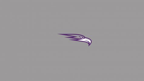 Ozarks (AR) Softball