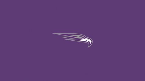 Ozarks (AR) Women's Volleyball