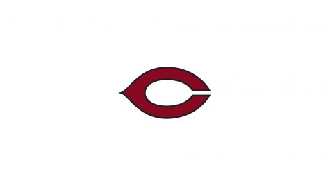 Chicago Softball