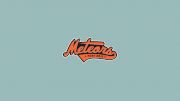 Fort Erie Meteors