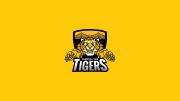 Campbellton Tigers