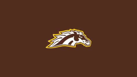 Western Michigan Men's Hockey