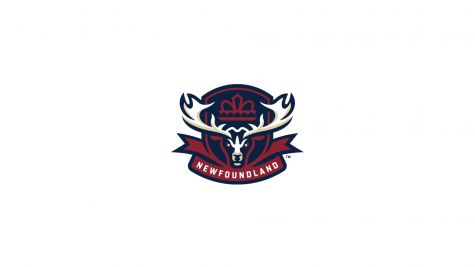 Newfoundland Regiment