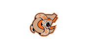 Coaldale Copperheads