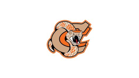 Coaldale Copperheads
