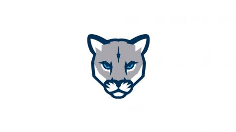 Mount Royal Men's Hockey