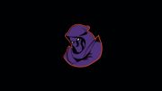 Youngstown Phantoms