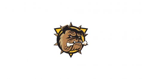 Brantford Bulldogs