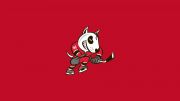 Niagara IceDogs