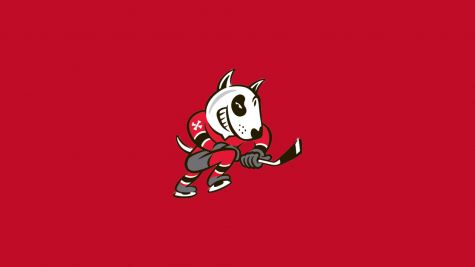 Niagara IceDogs
