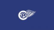 Perth Blue Wings