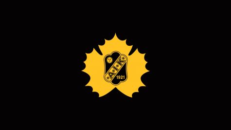Skelleftea AIK