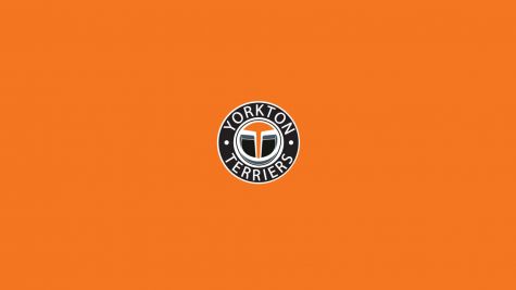 Yorkton Terriers