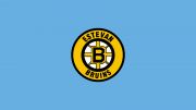 Estevan Bruins