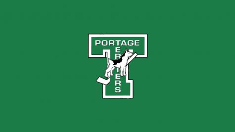 Portage Terriers