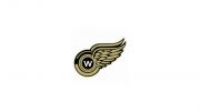 Weyburn Goldwings U18 AA (G)