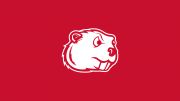 D1 Minot State Men's Club Hockey