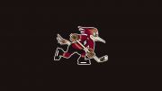 Tucson Roadrunners
